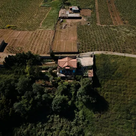 Memories Tatil Evi Aigio