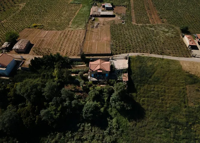 Memories Nyaraló Éjo